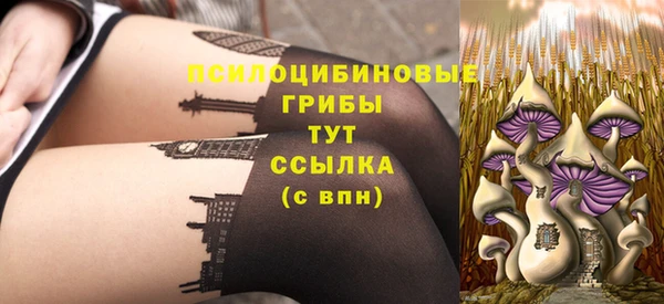 ПСИЛОЦИБИНОВЫЕ ГРИБЫ Краснотурьинск
