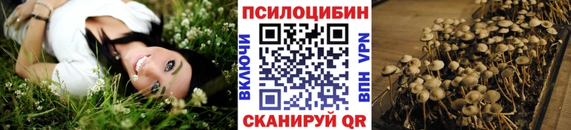 где найти наркотики  kraken   Псилоцибиновые грибы GOLDEN TEACHER  Хвалынск 